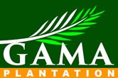 gama-opt